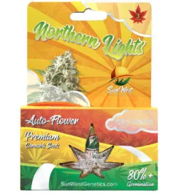 northern lights