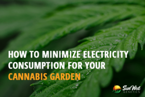 how to minimize electricity consumption for your cannabis garden