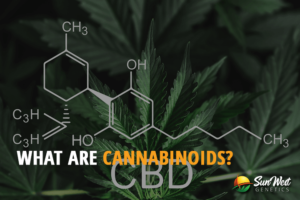 what are cannabinoids
