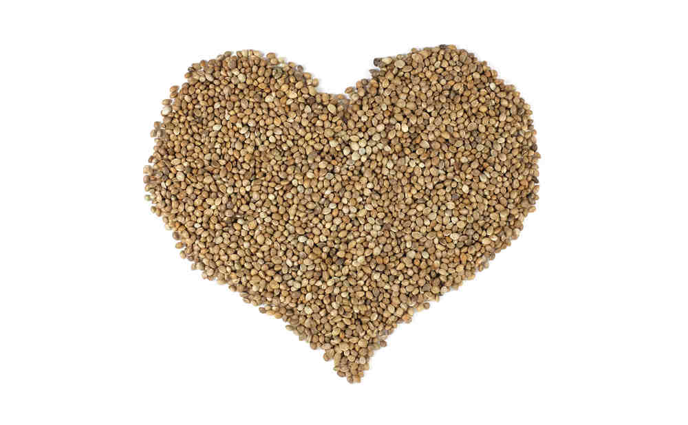 cannabis seeds good
