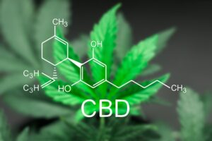 benefits cbd cannabis