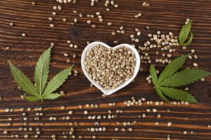cbd cannabis seeds