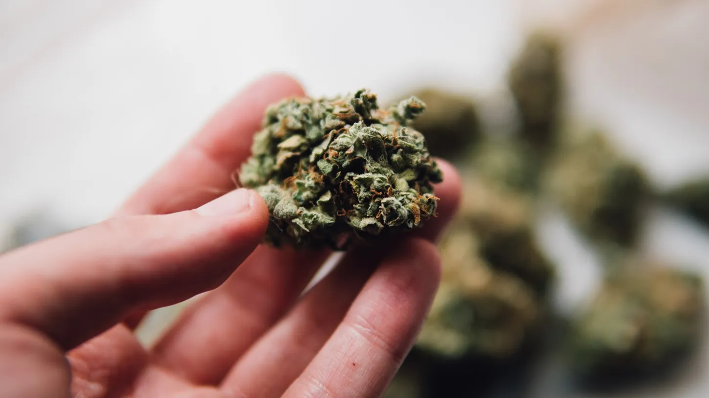 marijuana strains