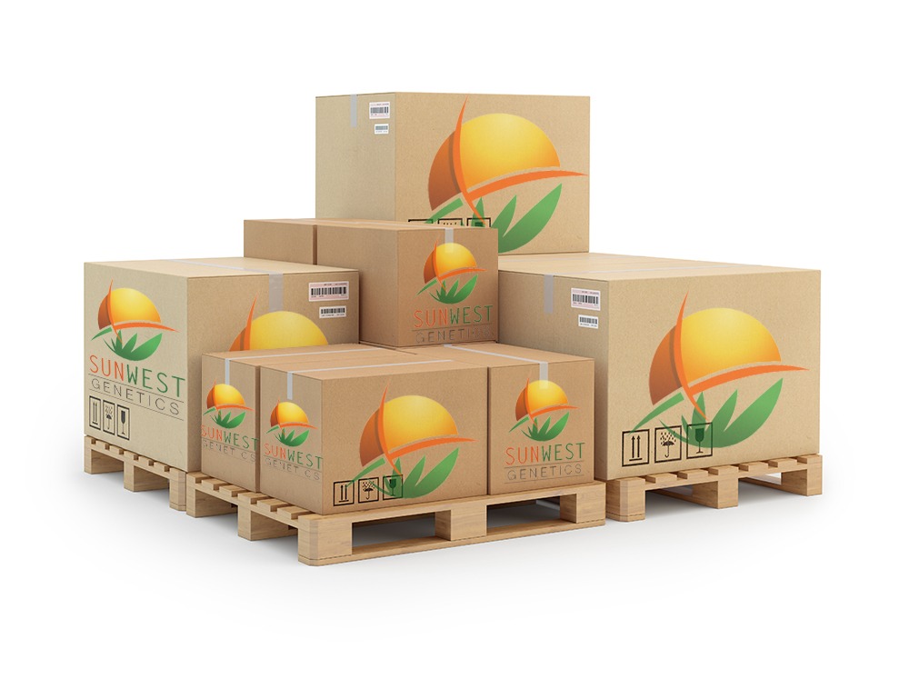 sunwest wholesale cannabis seeds