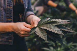 habits of a grower