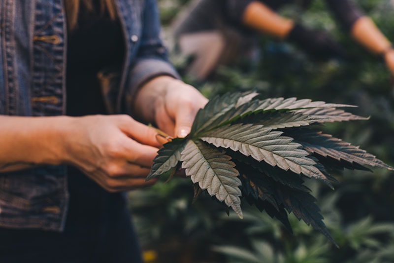 habits of a grower
