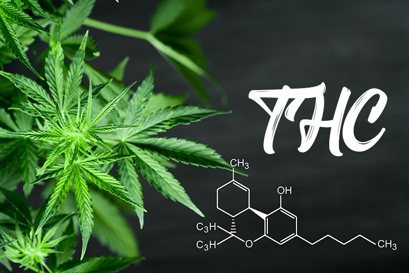 thc