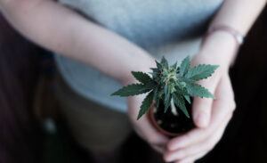 420 celebration