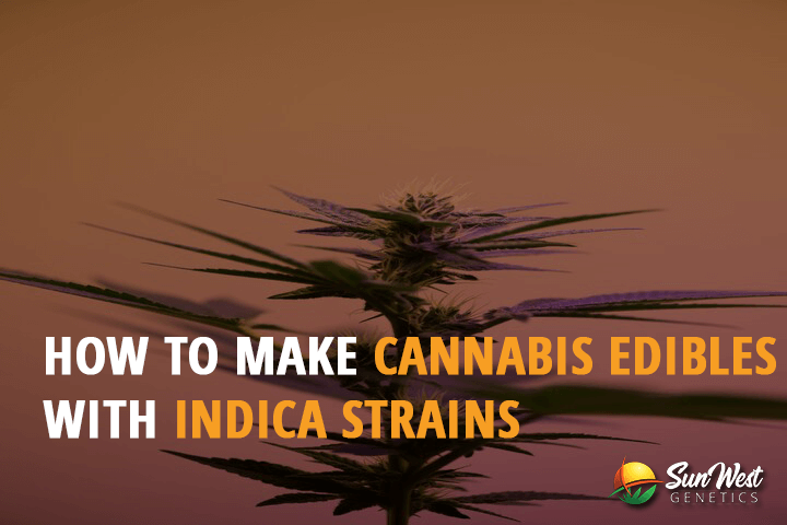 how to make cannabis edibles with indica strains