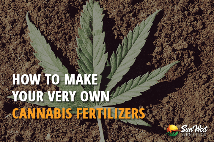 how to make your very own cannabis fertilizers 1