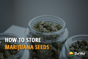 how to store marijuana seeds