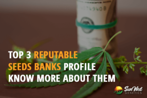 top 3 reputable seed banks profile know more about them