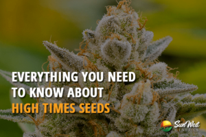 everything you need to know about high times seeds