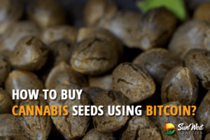 how to buy cannabis seeds using bitcoin