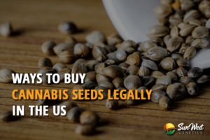 ways to buy cannabis seeds legal
