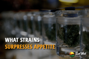 what strain surpresses appetite