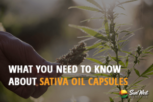 what you need to know about sativa oil capsules