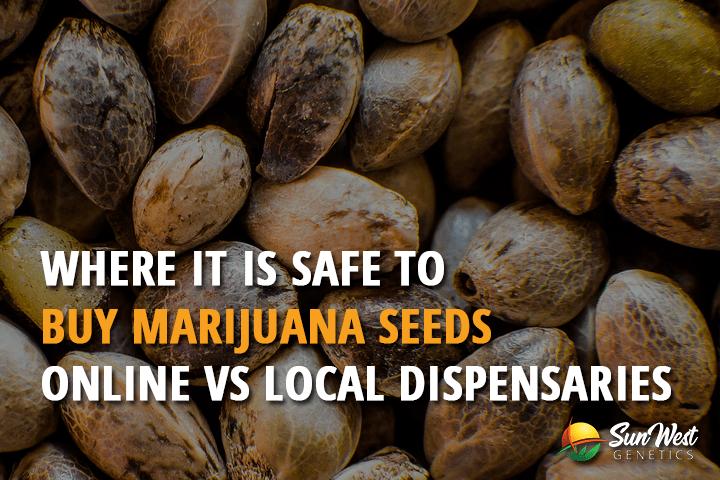 where is it safe to buy marijuan