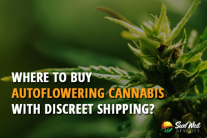 where to buy autoflowering cannabis with discreet shipping