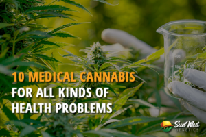 10 medical cannabs strains for all kinds of health problems