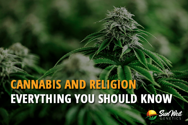cannabis and religion everything you should know