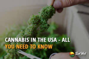cannabis in the usa all you need to know