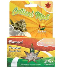 critical mass