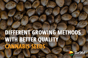 different growing methods with better quality cannabis seeds