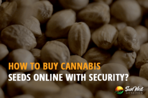 how buy cannabis seeds online with security