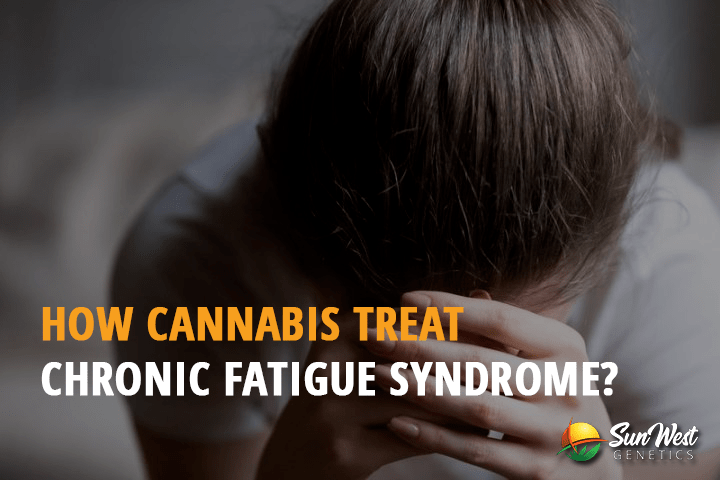 how cannabis treat chronic fatigue syndrome