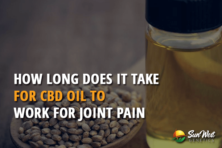 how long does it take for cbd oil to work for joint pain