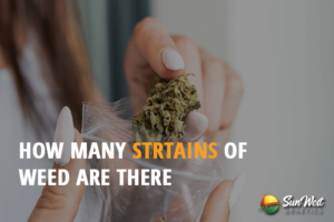 how many Strains of weed are there