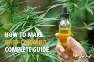 how to make hash cannabis complete guide