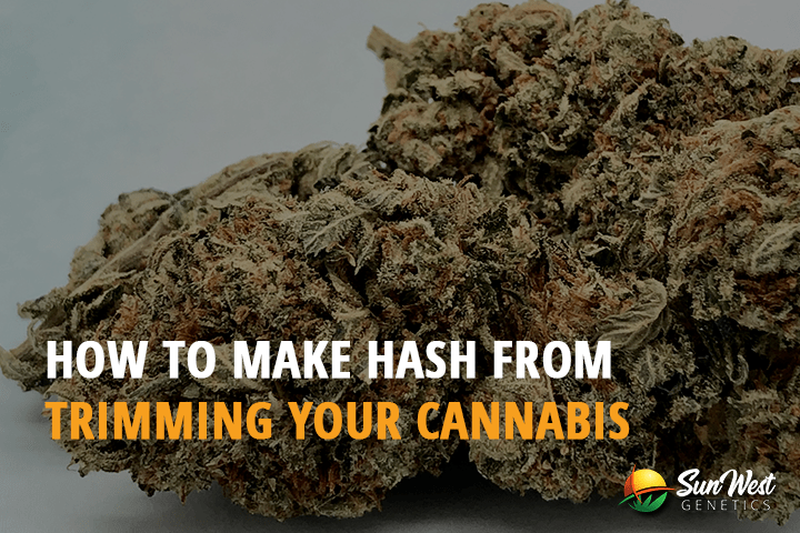 how to make hash from trimmings of your cannabis