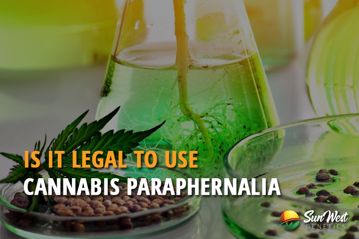 is it legal to use cannabis paraphernalia