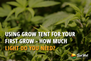 using grow tent for your first grow
