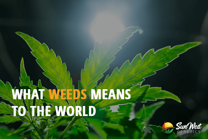 what weeds means to the world