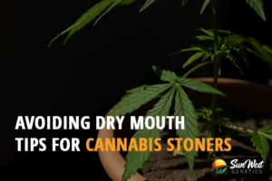 avoiding dry mouth tips for cannabis stoners