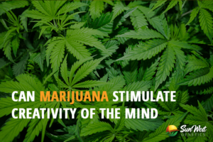 can marijuana stimulate creativity of the mind