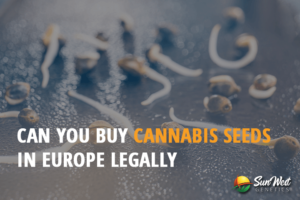 can you buy cannabis seeds in europe legally