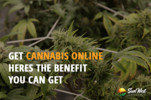 get cannabis online heres the benefit you can get