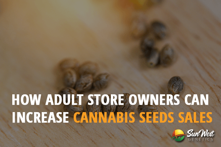 how adult store owners can increase cannabis seeds sales