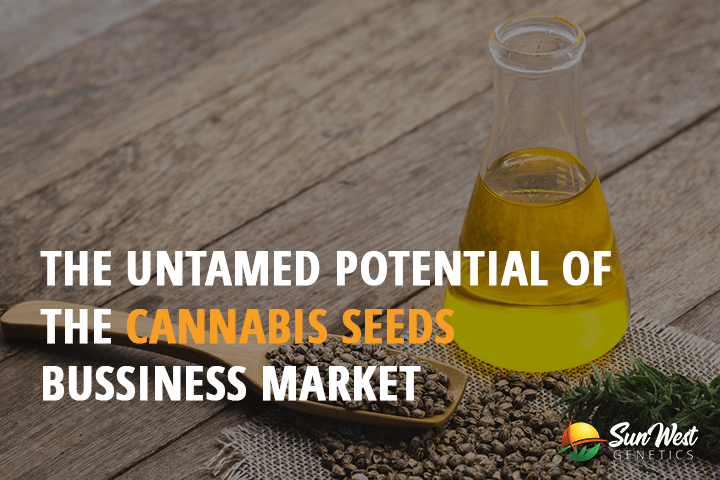 the untamed potential of the cannabis seeds business market