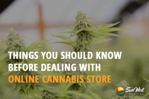 things you should know before dealing with online cannabis store