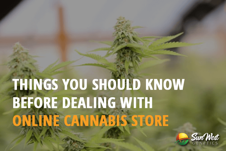 things you should know before dealing with online cannabis store