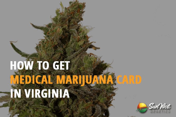 how to get medical marijuana card in virginia