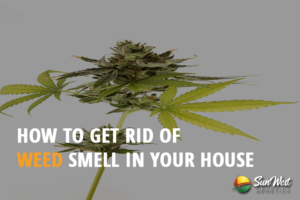 how to get rid of weed smell in your house