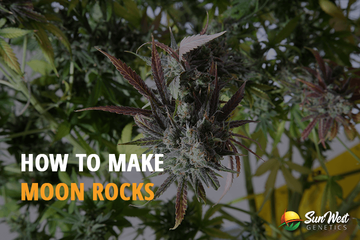how to make moon rocks and what is it