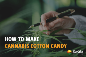 how to make cannabis cotton candy to relive stoner s childhood fantasy