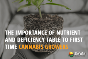 the importance Of nutrient and deficiency table to first time cannabis growers